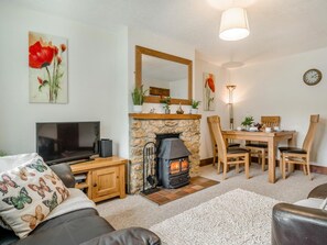 TV, fireplace - 2 Bed in Bridport (oc-58848) (Powerstock)