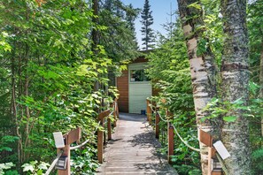 Un sentier en bois mène à un bâtiment doté d’un volet vert, le tout étant entouré d’un feuillage verdoyant et dense.