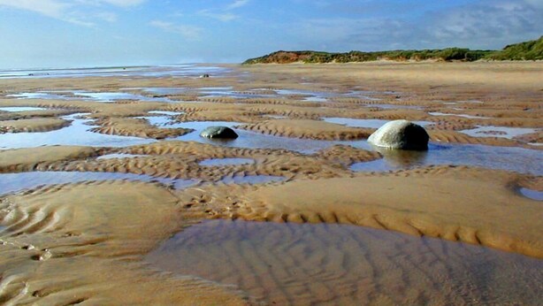Una playa con arena mojada y rocas dispersas.