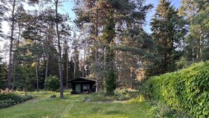 Une cabane située dans une zone boisée, avec un sentier herbeux qui y mène.