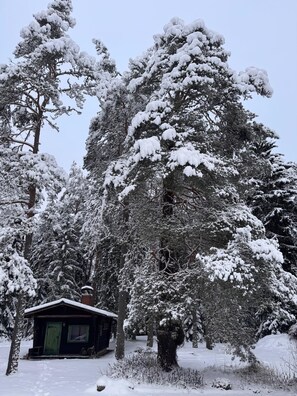 En stuga omgiven av snötäckta träd.