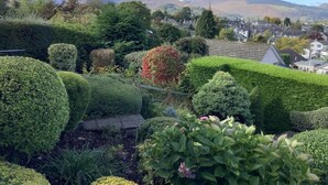 Ein gepflegter Garten mit verschiedenen Sträuchern und Blick auf eine Stadt und Berge im Hintergrund.