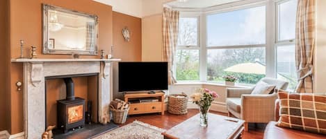 TV, fireplace