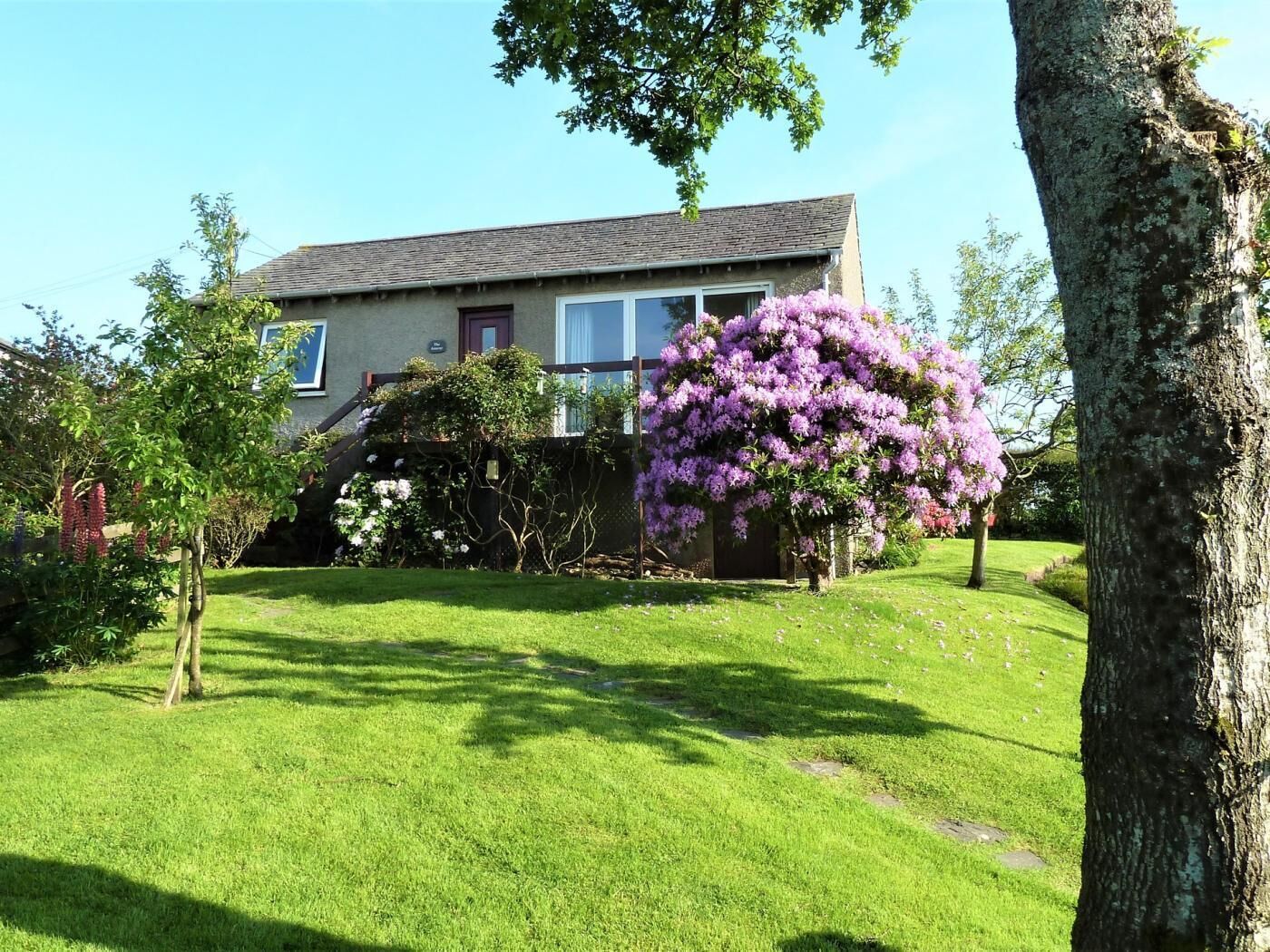 A house with a well-maintained lawn and a large flowering tree in the front yard.