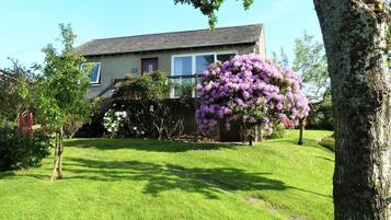 A house with a well-maintained lawn and a large flowering tree in the front yard.