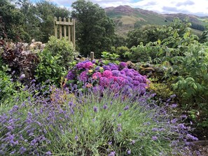 A garden with lavender and purple flowers, a wooden fence, and a mountainous backdrop. - 4 Bed in Penrith (oc-sz367) (Dockray)