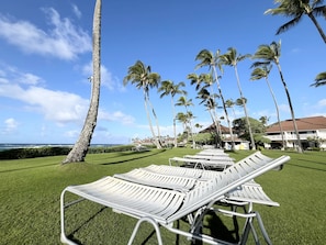 Ein Resort mit Außenbereich, Palmen und Meerblick.
