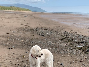 Beach - 2 Bed in Wasdale (oc-sz077) (Irton with Santon)