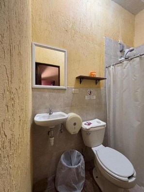 Une salle de bain avec un lavabo, des toilettes et un rideau de douche.