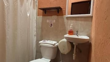 A bathroom with a toilet, sink, and shower curtain.