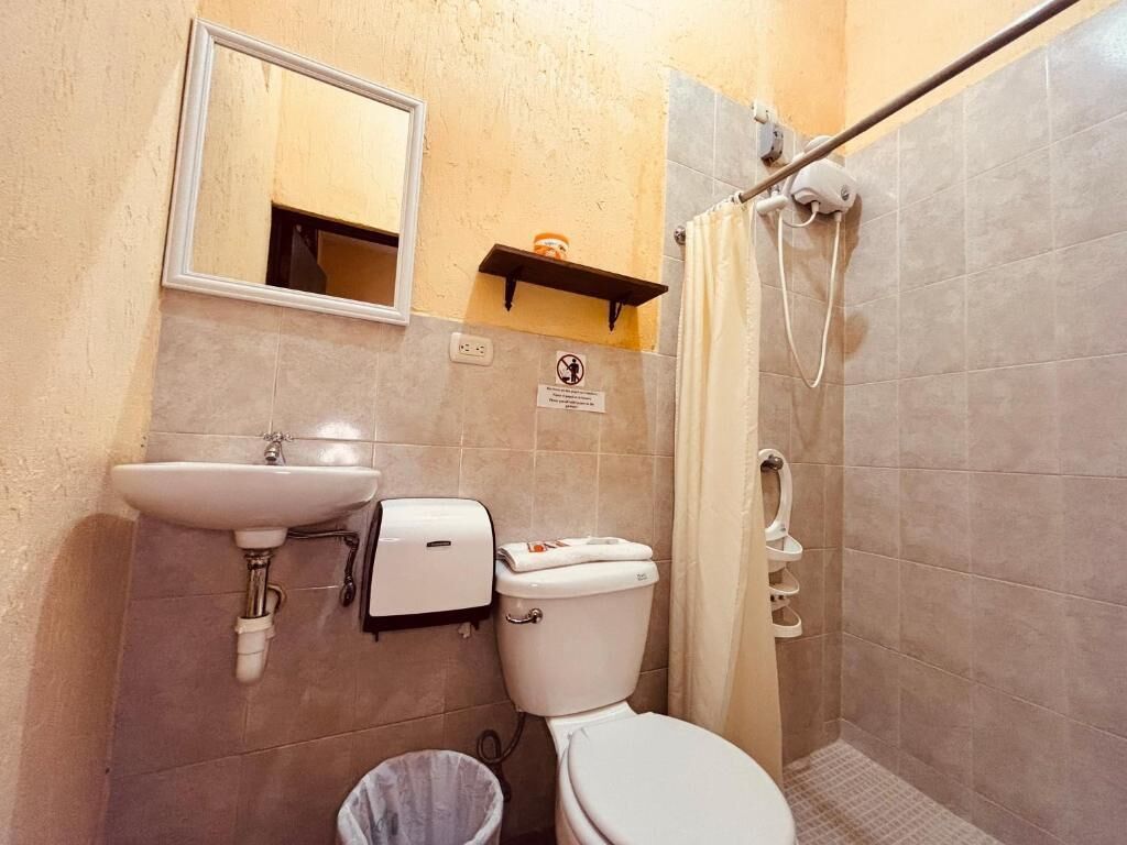 A bathroom with a sink, toilet, mirror, shower, and a trash bin.
