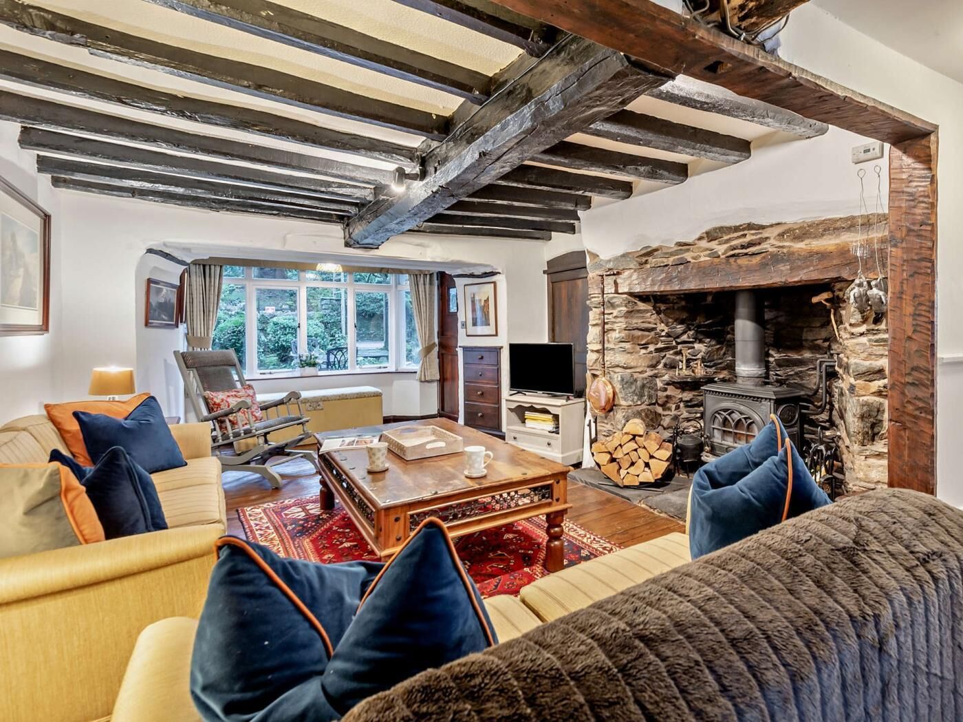 TV, fireplace