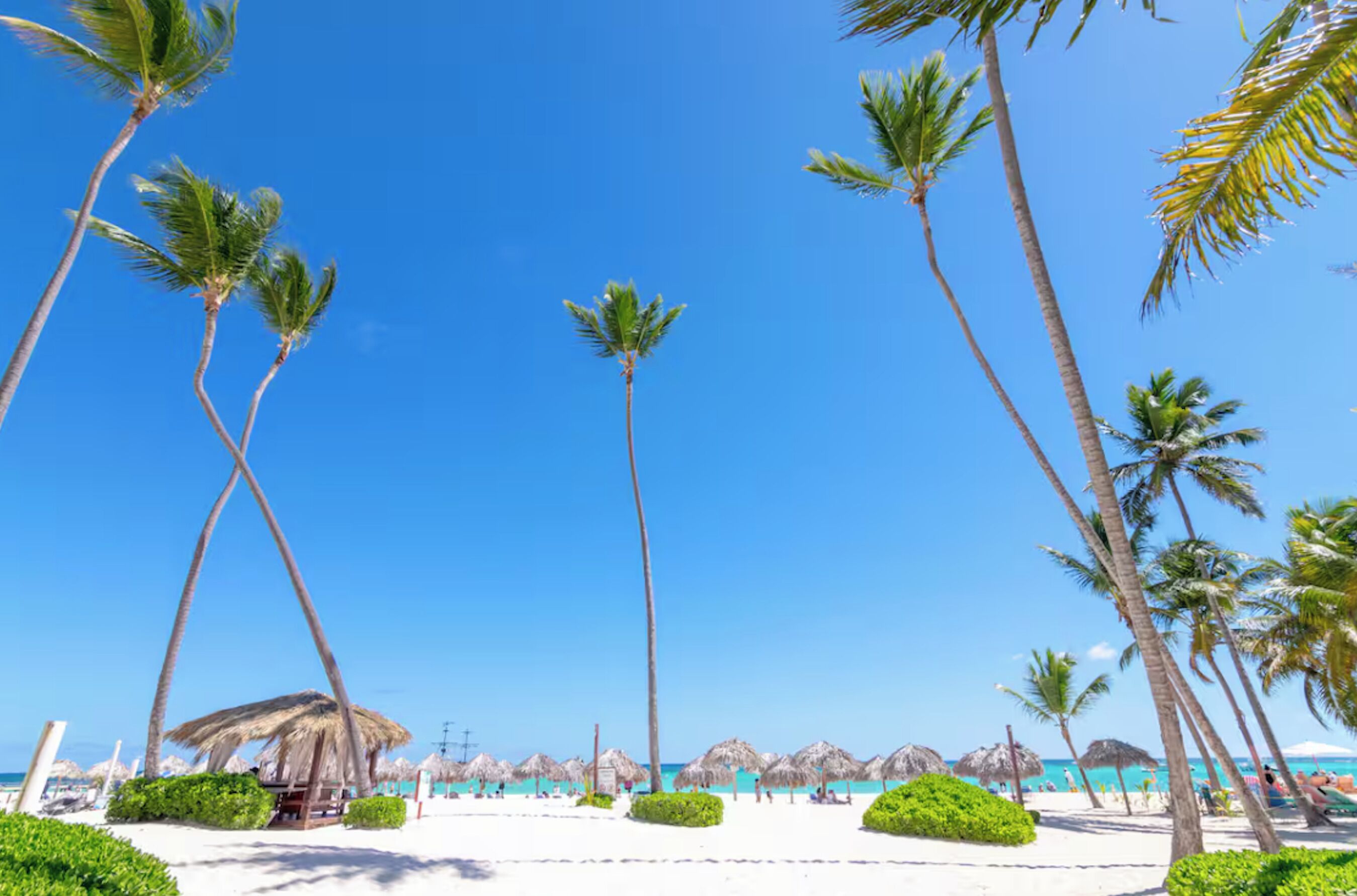 Une plage bordée de palmiers, une structure à toit de chaume et un ciel bleu azur.