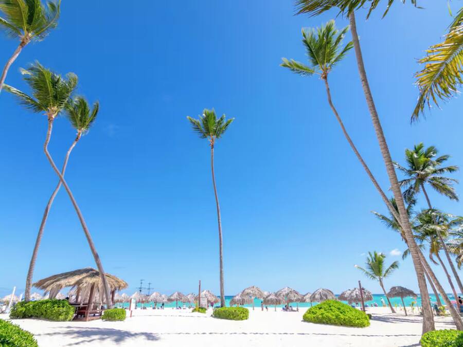 Une plage bordée de palmiers, une structure à toit de chaume et un ciel bleu azur.