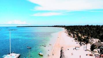 Una playa con agua turquesa cristalina, una orilla arenosa y una hilera de palmeras.