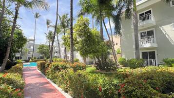 Un complexe hôtelier doté d’une piscine, de palmiers et d’un chemin rouge.