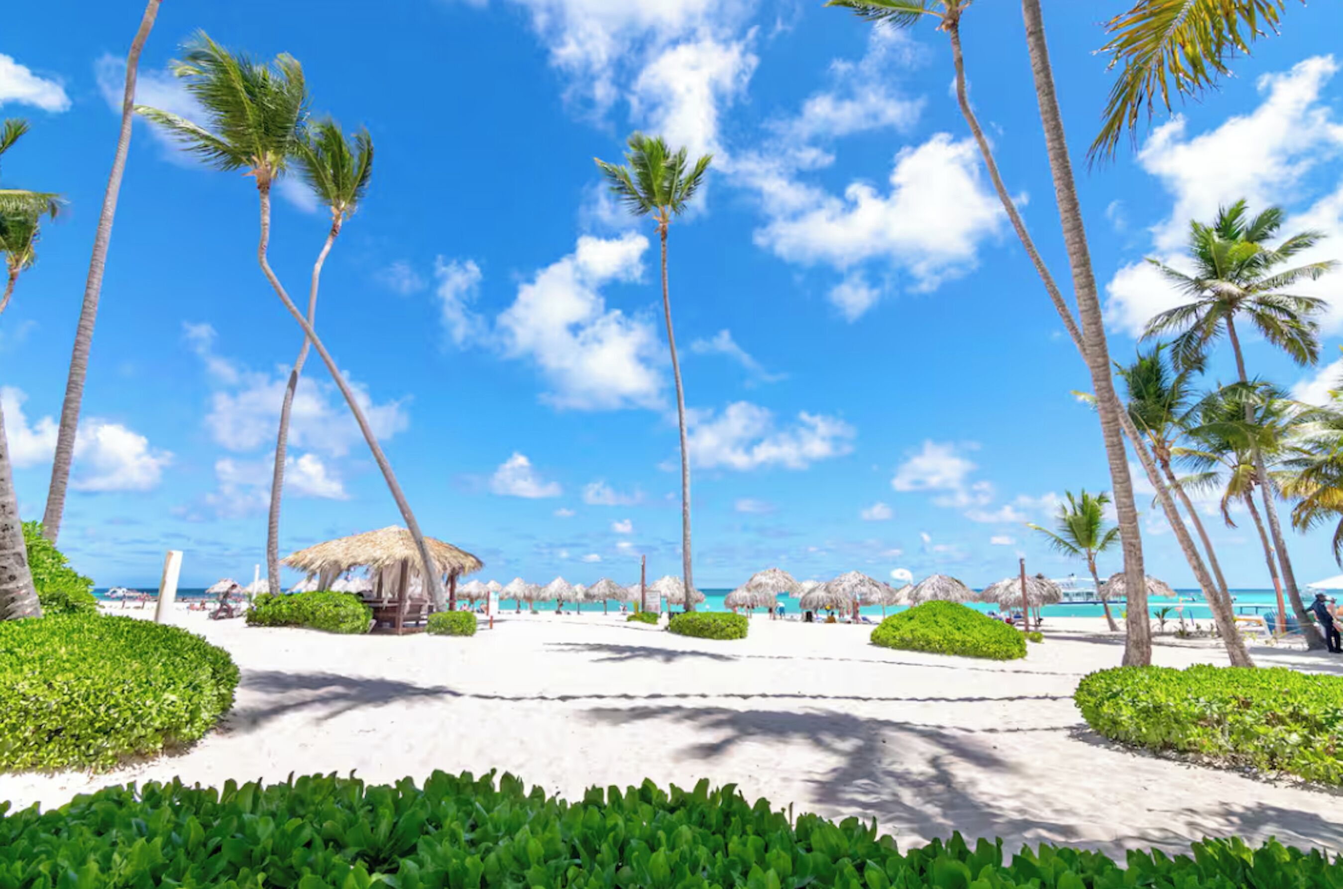 A beach with palm trees, a thatched-roof structure, and a clear blue sky.