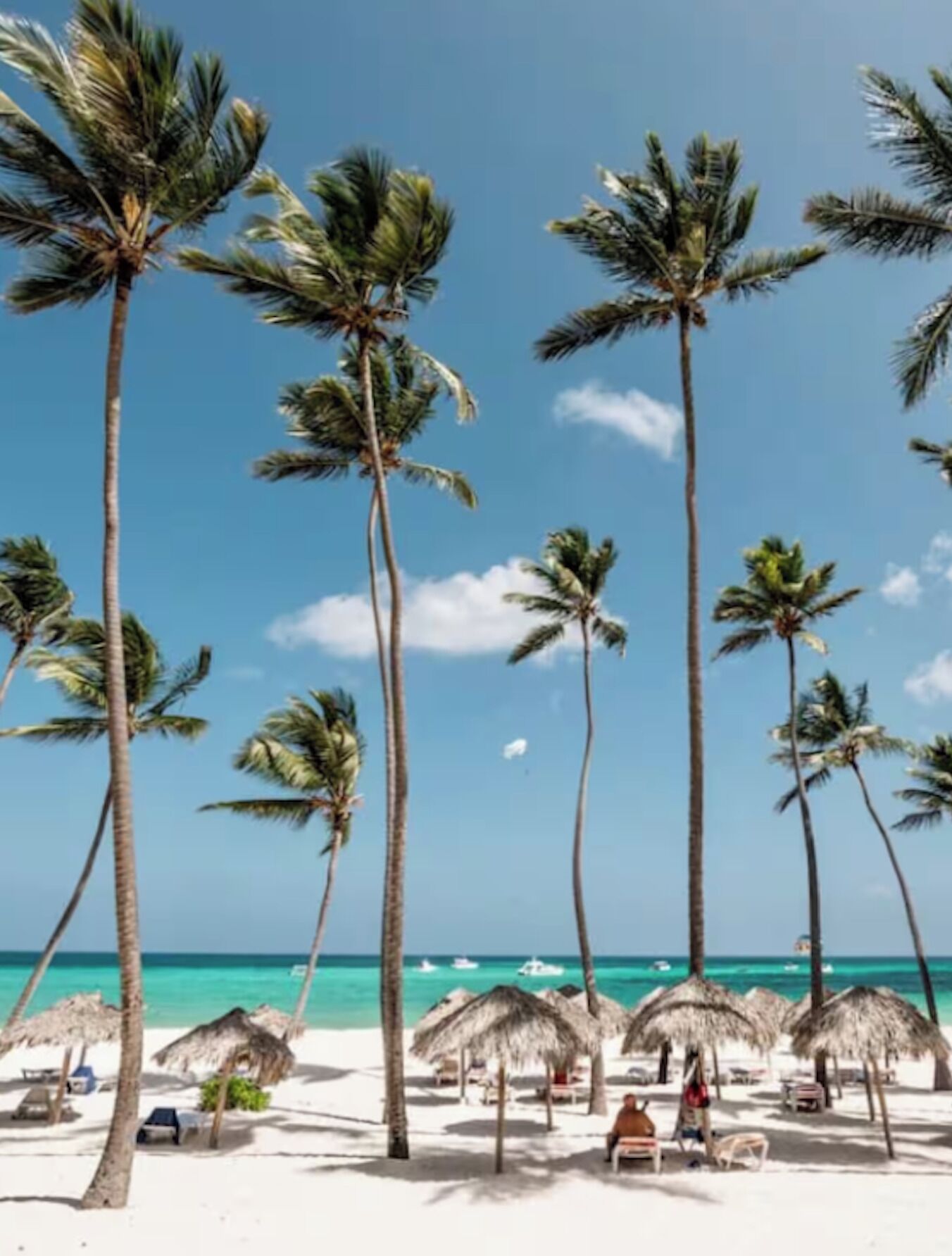 Uma praia com palmeiras, guarda-sóis de palha e um céu azul límpido.
