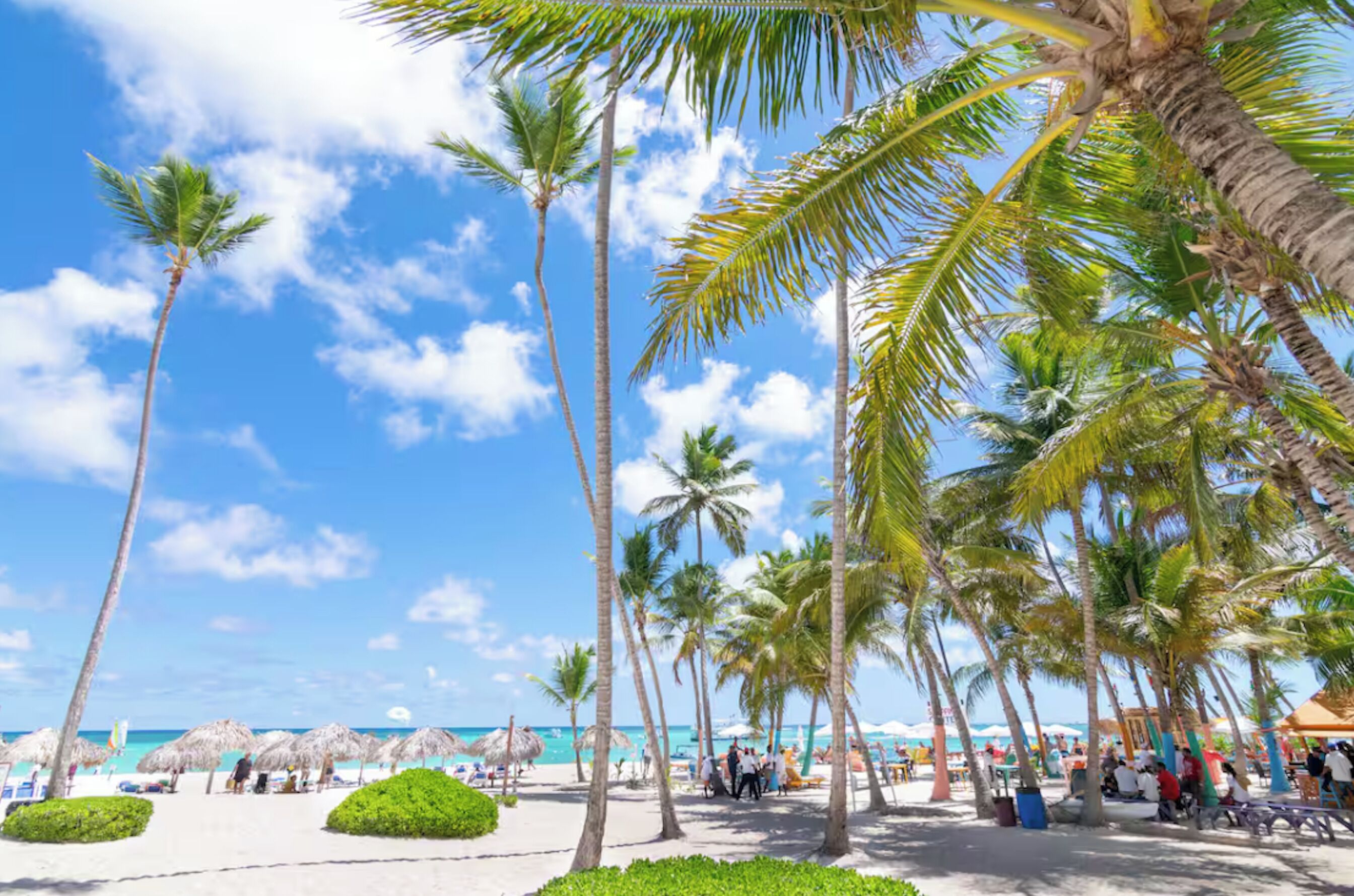 Ein Strand mit Palmen, Sonnenschirmen und Menschen.
