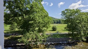 Vista de un río con árboles y un campo cubierto de hierba al fondo.