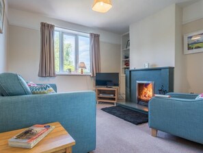Fernseher, Kamin