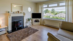Een woonkamer met een open haard, een televisie, een bank en een raam met uitzicht op groen.