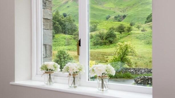 Una ventana con vistas a un paisaje verde.
