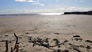 A beach with a wooden fence, a driftwood piece, and a distant shoreline. - 3 Bed in Porthcawl (oc-85193) (Drenewydd yn Notais)