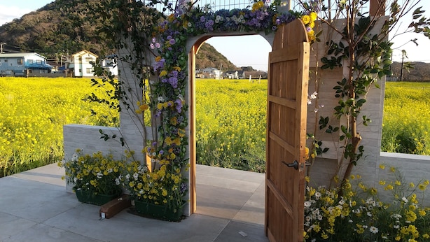 Una verja de madera con un arco floral que conduce a un campo de flores amarillas.