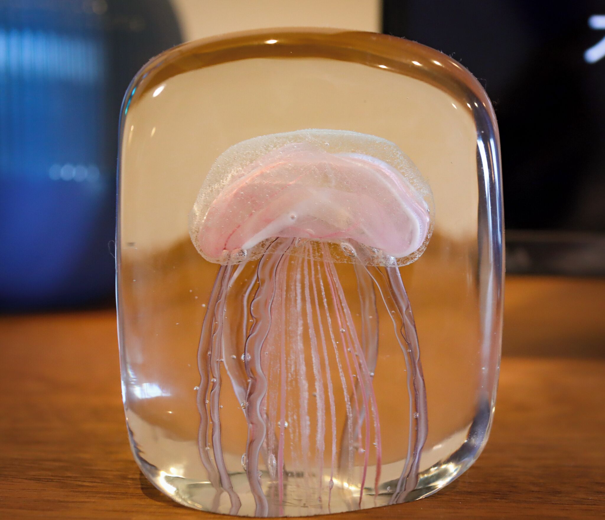 A clear glass object with a jellyfish design.