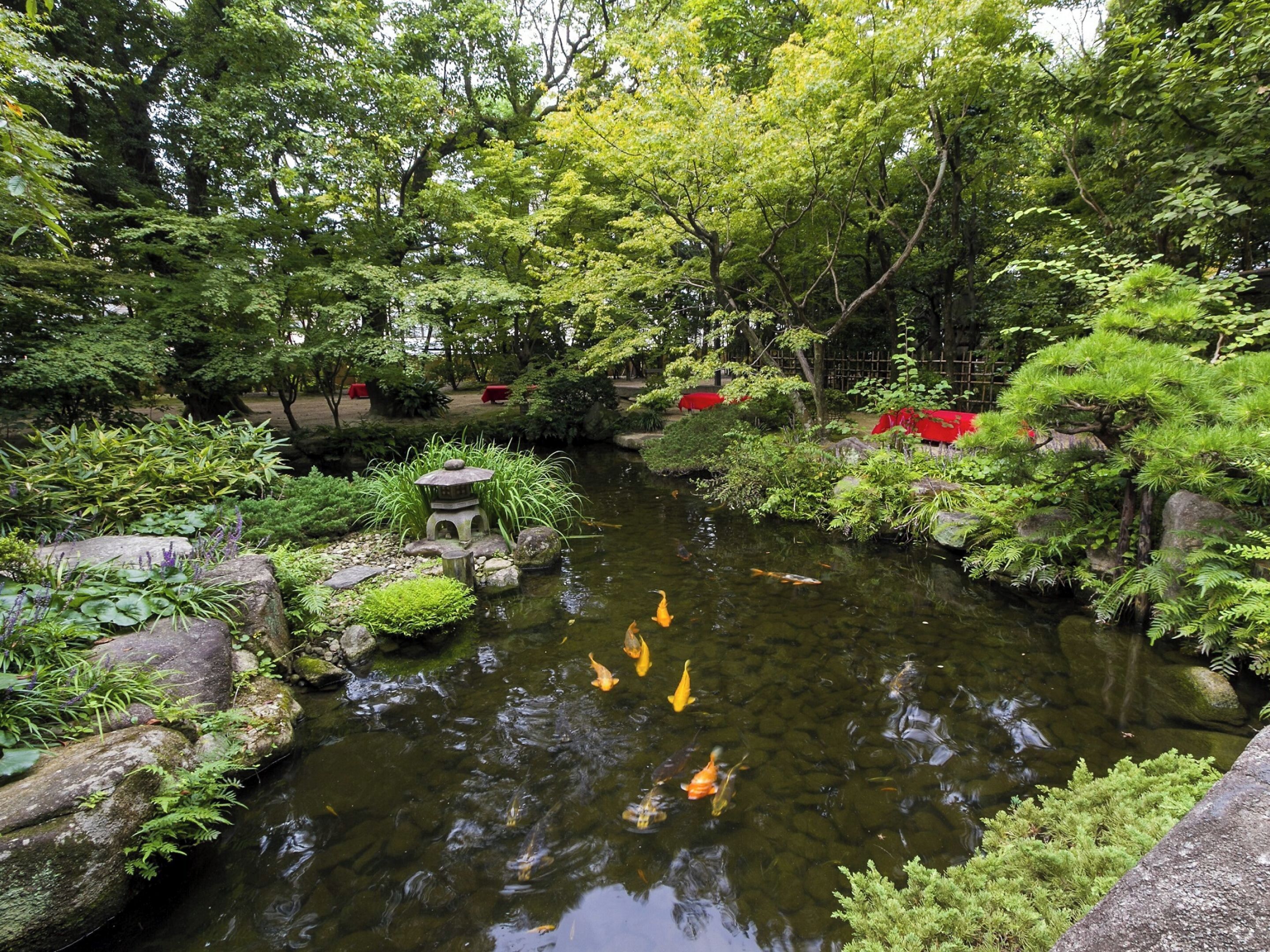 Jardines del alojamiento