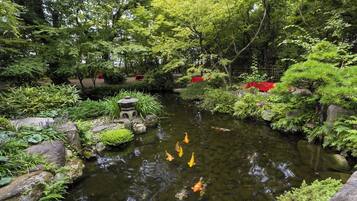 Jardines del alojamiento