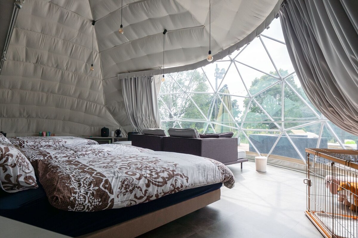 A spacious room with a large bed, a desk, and a view through a geometric window.