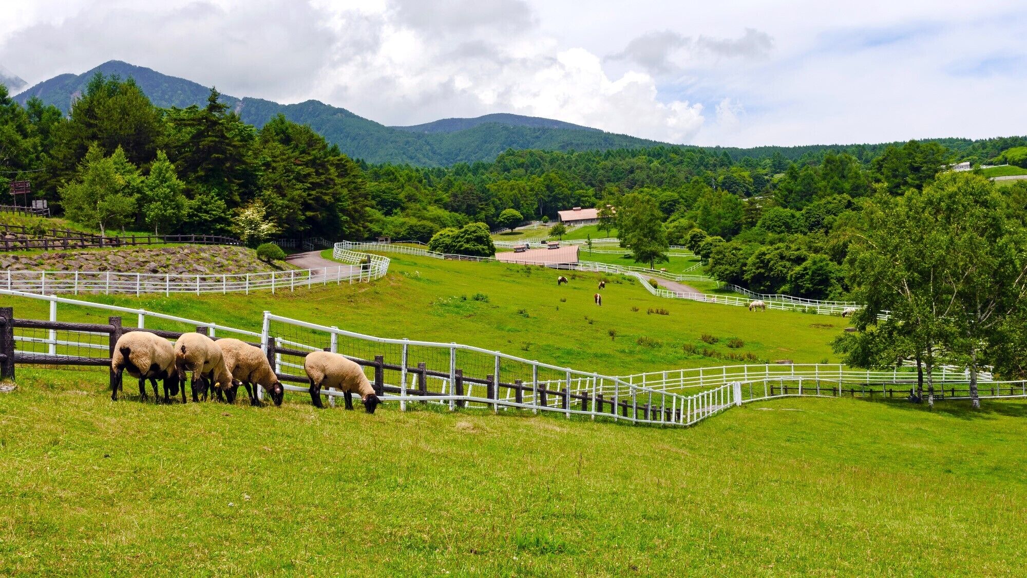 A rural landscape with a fenced area containing sheep, a winding road, and a building in the distance.