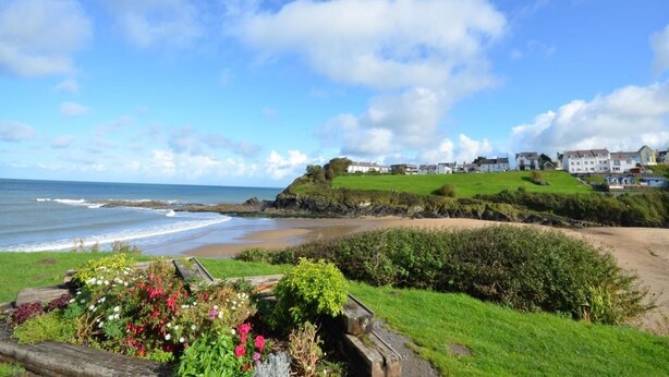 A coastal landscape with a beach, a grassy area with flowers, and houses on a hill. - 1 Bed in Llandysul (oc-85671) (Capel Dewi)