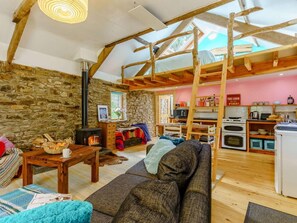 TV, fireplace - 1 Bed in Llandysul (oc-85671) (Capel Dewi)