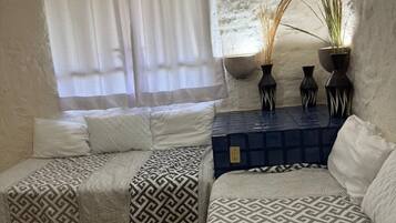 Una habitación con dos camas, una ventana con cortinas, un aire acondicionado instalado en la pared y una mesita con plantas en macetas.