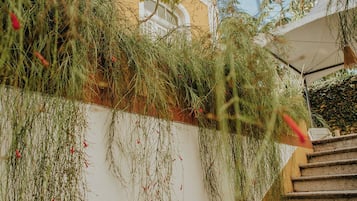 Jardines del alojamiento