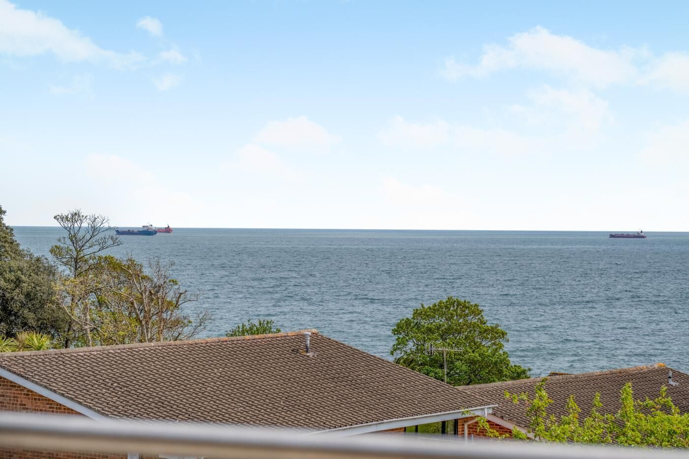 A coastal view with a clear sky, a calm sea, and two large cargo ships in the distance.