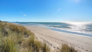 Una playa con arena, césped y el océano.