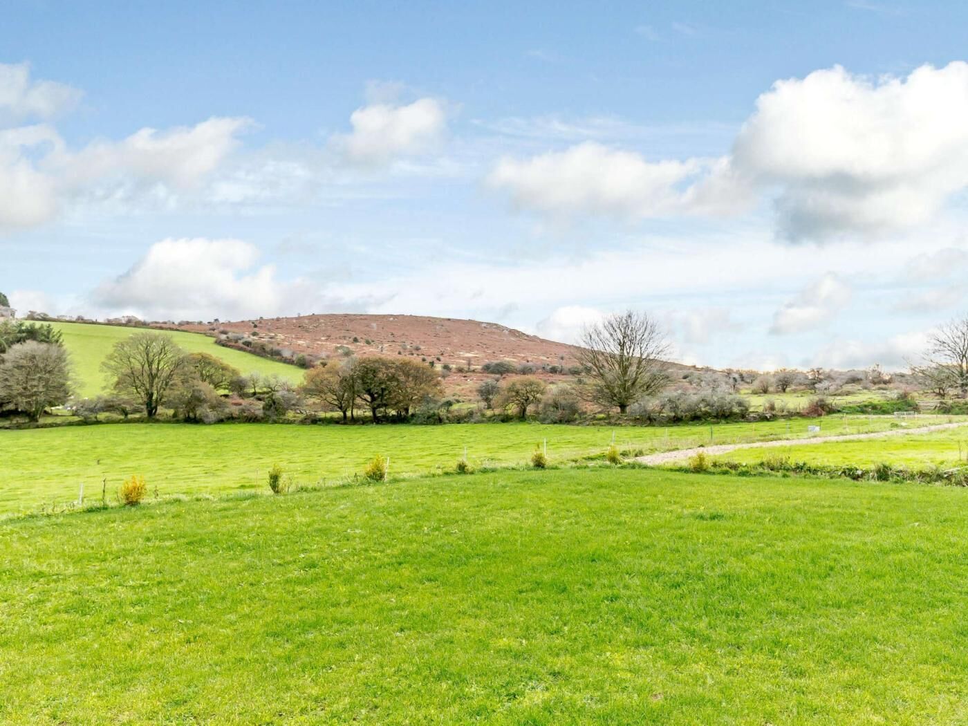 A green field with a hill in the background.