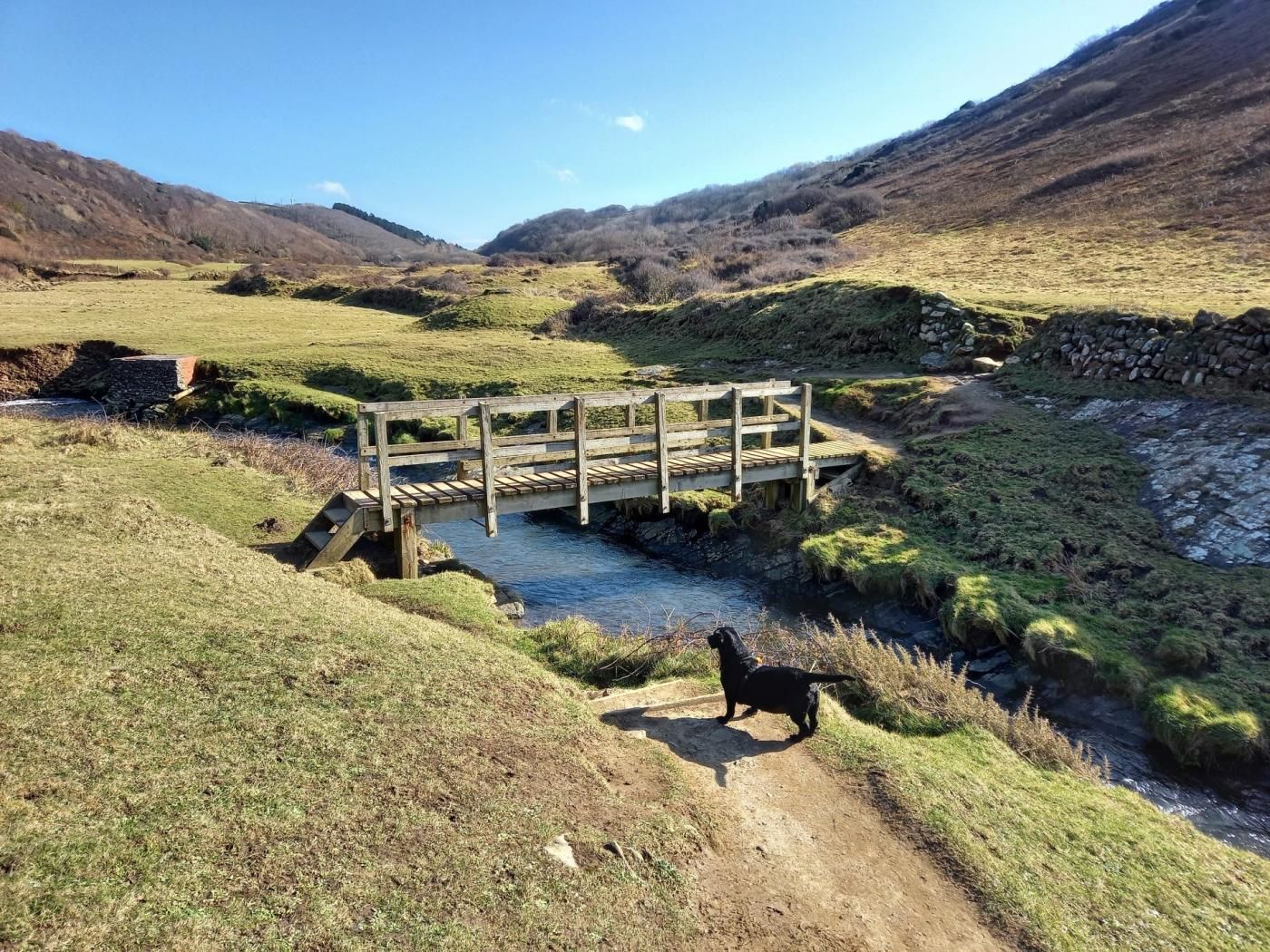 Eine Holzbrücke über einen Bach in einer hügeligen Landschaft.
