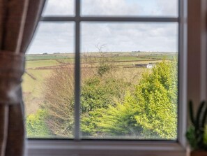 Ein Fenster mit Blick auf eine ländliche Landschaft, einschließlich Felder und Bäume.