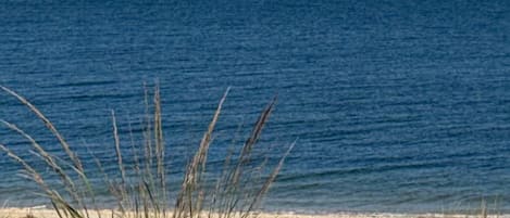 En la playa, camastros y toallas de playa