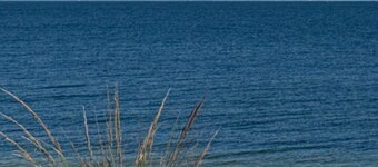 North Shore Breezes Beachfront Home in Asharoken Pet Friendly/Event Friendly