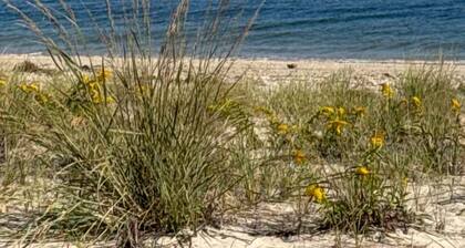 North Shore Breezes Beachfront Home in Asharoken Pet Friendly/Event Friendly