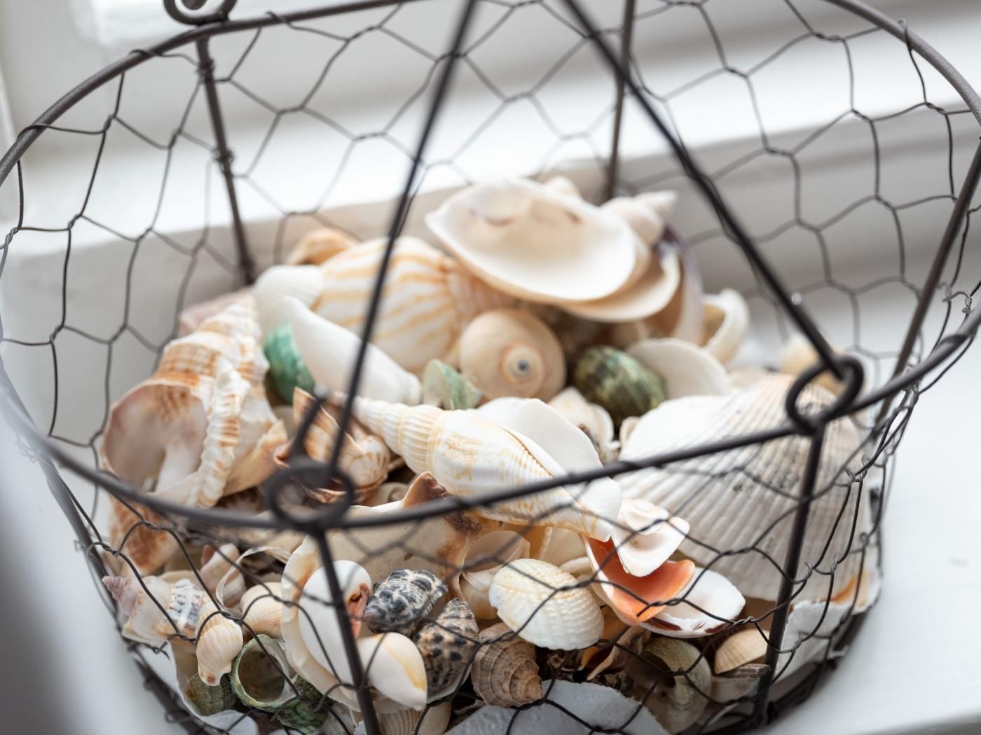 A wire basket filled with various seashells.