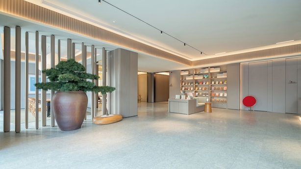 A modern lobby with a reception desk, a large potted plant, and a wall with shelves displaying items.