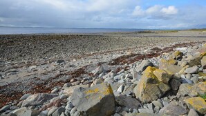 A rocky beach with seaweed and large boulders. - 3 Bed in Newton Stewart (oc-87541) (Mochrum)