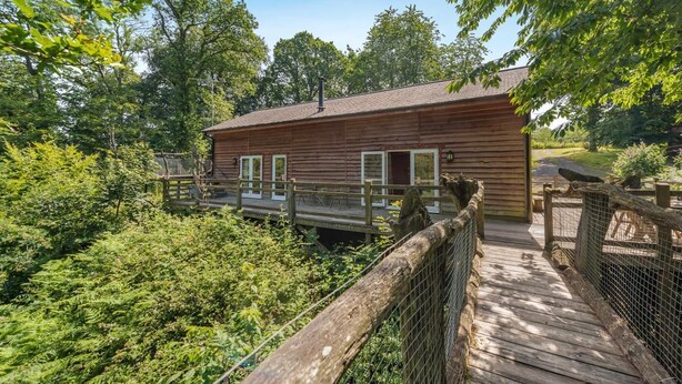 Eine Holzhütte mit Terrasse, umgeben von dichtem Grün.